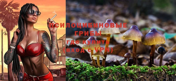 хмурый Кинешма